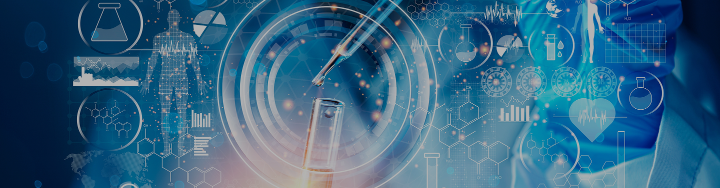 Understanding Provider Healthcare Industry