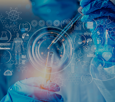 Understanding Provider Healthcare Industry