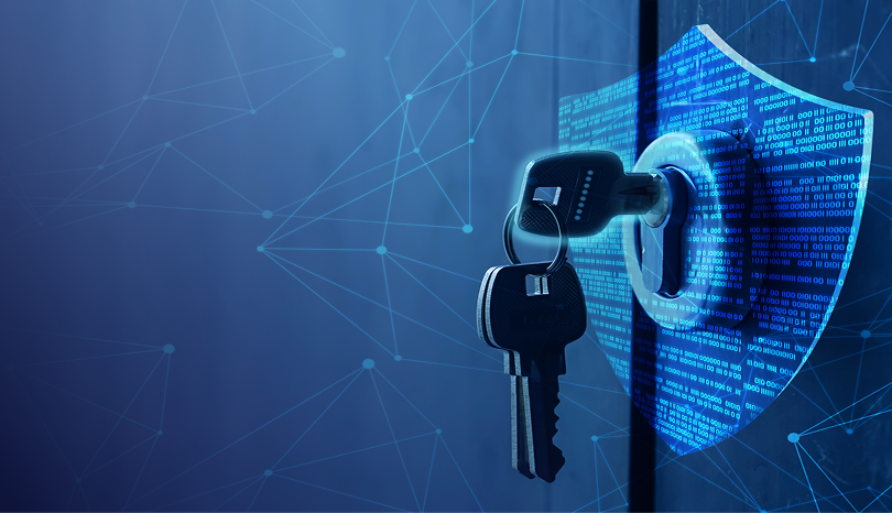 Technology Risk Advisory