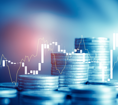 Key Aspects of Non-Profit Organization Audits