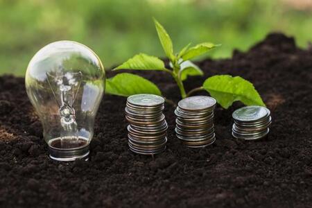 Carbon Credits: The Climate Coin That Might Rule the Economy