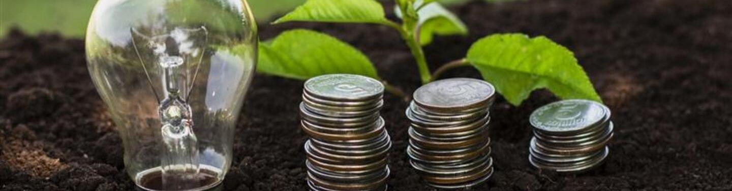 Carbon Credits: The Climate Coin That Might Rule the Economy
